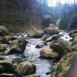 Ohinemuri River Walkway - Paeroa