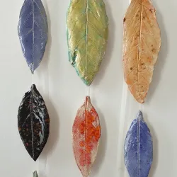 Paeroa Art Gallery - Paeroa