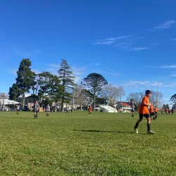 Paeroa Domain - Paeroa