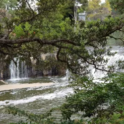 Haruru Falls - Paihia