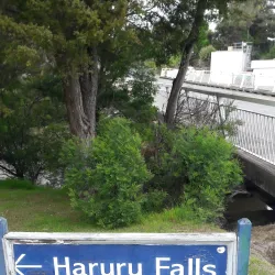 Haruru Falls - Paihia