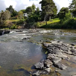 Haruru Falls - Paihia