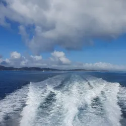 Hole in the Rock Cruises - Paihia