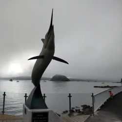 Hole in the Rock Cruises - Paihia