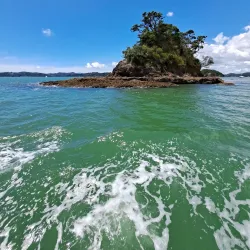 Paihia Wharf - Paihia