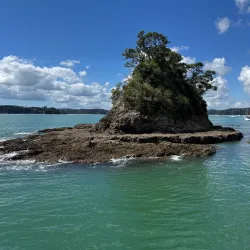 Paihia Wharf - Paihia