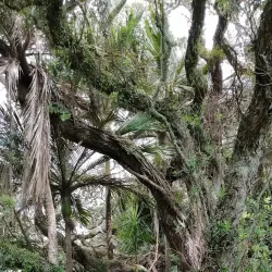 Russell (Kororareka) - Paihia