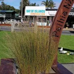 Russell (Kororareka) - Paihia