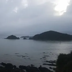Te Ti Bay - Paihia