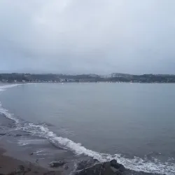 Te Ti Bay - Paihia