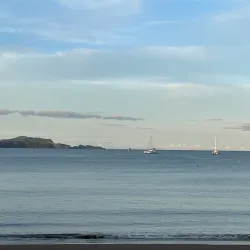 Te Ti Bay - Paihia