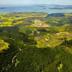 Waitangi Mountain Bike Park - Paihia