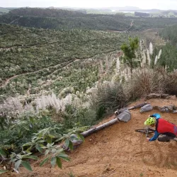 Waitangi Mountain Bike Park - Paihia