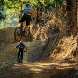 Waitangi Mountain Bike Park - Paihia
