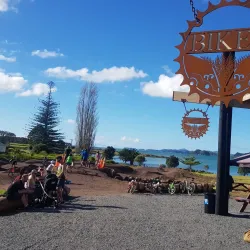 Waitangi Mountain Bike Park - Paihia