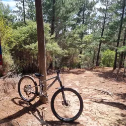 Waitangi Mountain Bike Park - Paihia