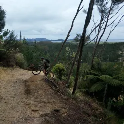 Waitangi Mountain Bike Park - Paihia