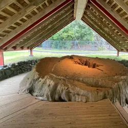 Waitangi Treaty Grounds - Paihia