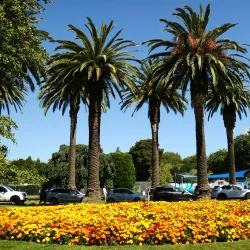 Victoria Esplanade - Palmerston North