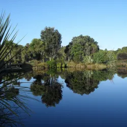 Kapiti Coast Wildlife Rescue Centre - Paraparaumu