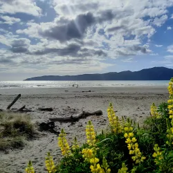 Paraparaumu Beach - Paraparaumu