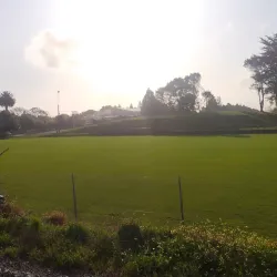 Paraparaumu Domain - Paraparaumu