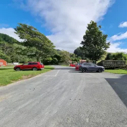 Battle Hill Farm Forest Park - Porirua