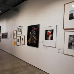 Pataka Museum of Arts and Culture - Porirua