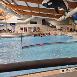 Te Rauparaha Arena - Porirua