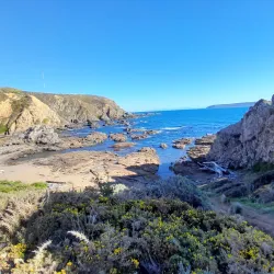 Whitireia Park - Porirua