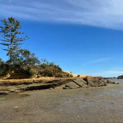 Awhitu Regional Park - Pukekohe