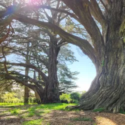Awhitu Regional Park - Pukekohe