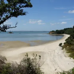 Awhitu Regional Park - Pukekohe