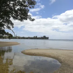 Awhitu Regional Park - Pukekohe