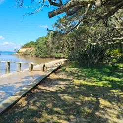Awhitu Regional Park - Pukekohe
