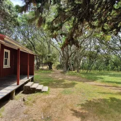 Awhitu Regional Park - Pukekohe