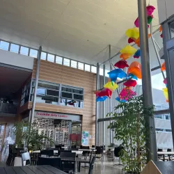 Franklin Museum - Pukekohe