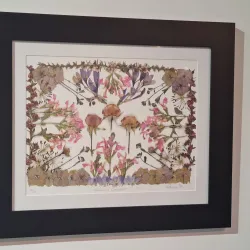 Pukekohe Art Gallery - Pukekohe