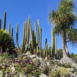 Pukekohe Botanical Gardens - Pukekohe