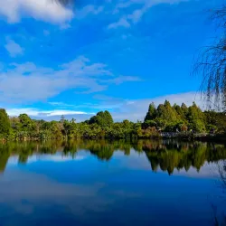 Pukekohe Botanical Gardens - Pukekohe