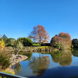 Pukekohe Botanical Gardens - Pukekohe