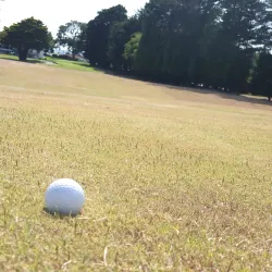 Pukekohe Golf Club - Pukekohe