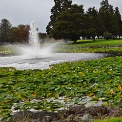 Pukekohe Golf Club - Pukekohe