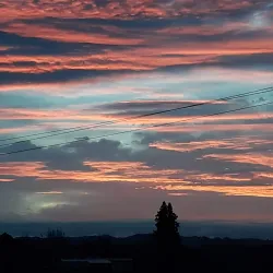 Pukekohe Golf Club - Pukekohe