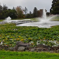 Pukekohe Golf Club - Pukekohe
