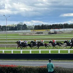 Pukekohe Park Raceway - Pukekohe