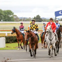 Pukekohe Park Raceway - Pukekohe