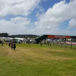 Pukekohe Park Raceway - Pukekohe