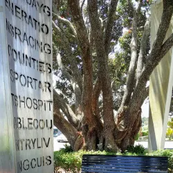 Pukekohe War Memorial Town Hall - Pukekohe
