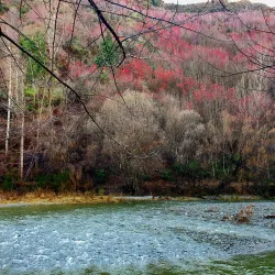Arrowtown - Queenstown
